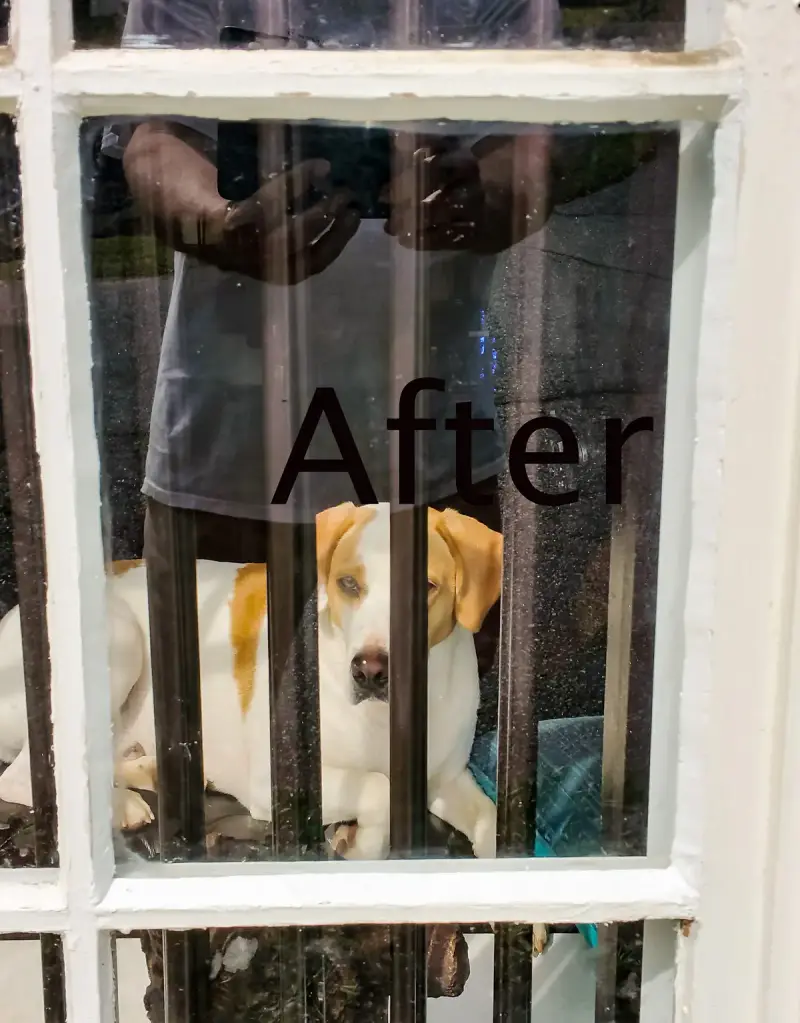 Window repaired with new glass pane